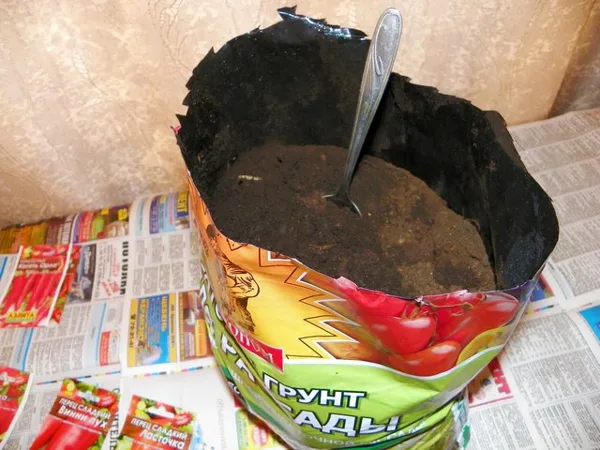 Грунт в натуре с ложкой.