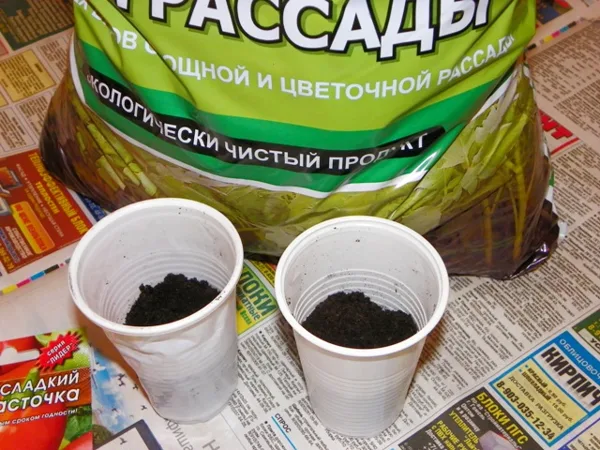 Насыпали по две ложки в стаканчики.