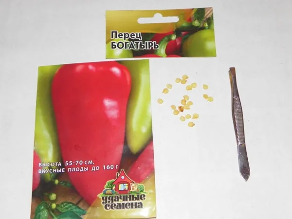 Семя живородящее